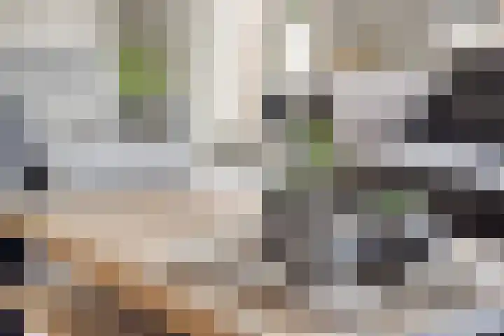De Kievit 5 Wierden thumbnail 6