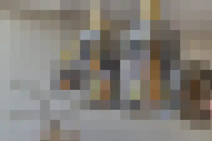 de Kievit 81 Denekamp thumbnail 10