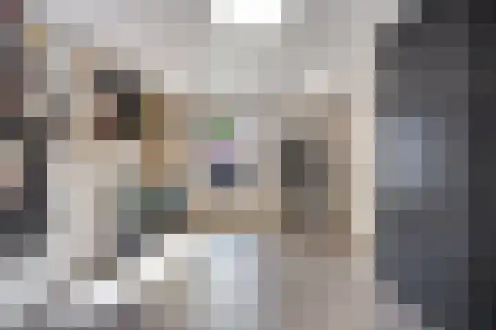 de Kievit 81 Denekamp thumbnail 18