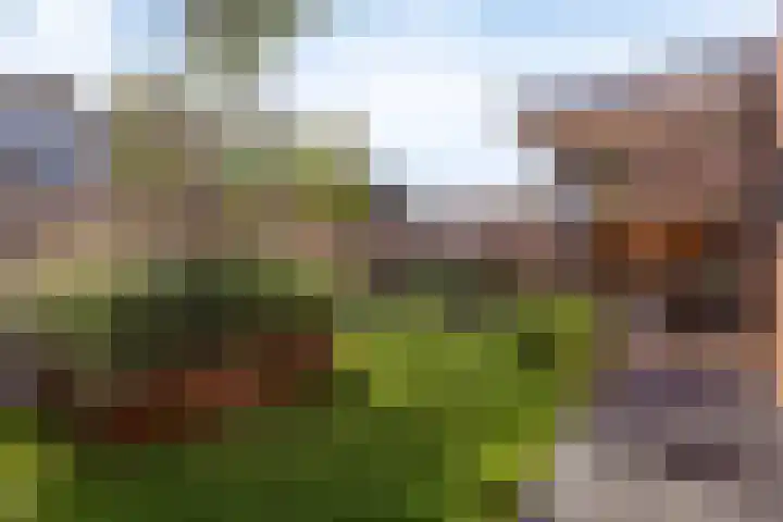 de Kievit 81 Denekamp thumbnail 37