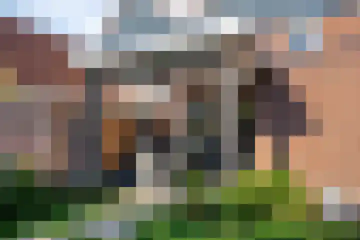 de Kievit 81 Denekamp thumbnail 39