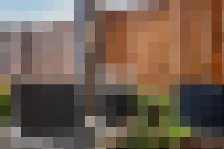 de Kievit 81 Denekamp thumbnail 41