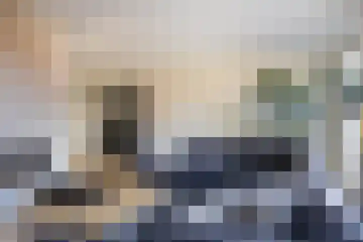 de Kievit 81 Denekamp thumbnail 5
