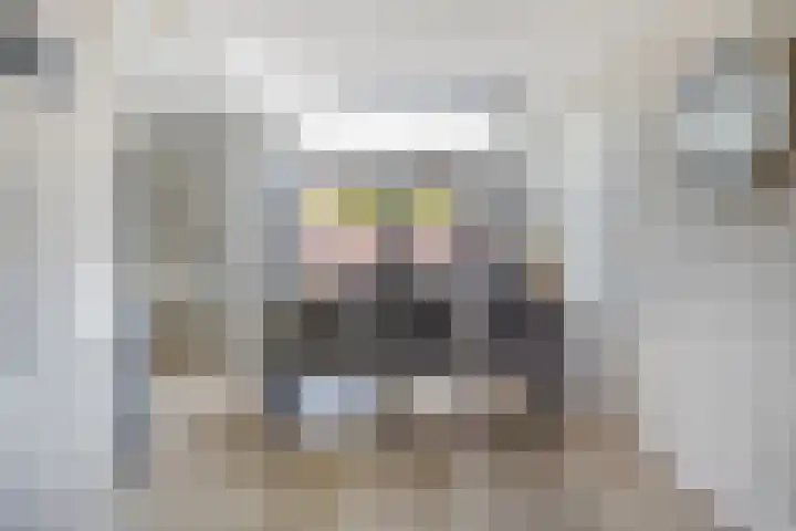de Kievit 81 Denekamp thumbnail 9