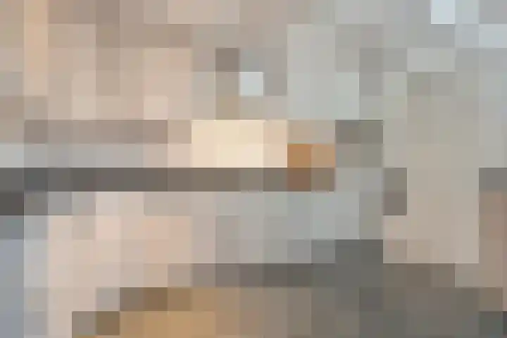 de Kievit 86 Denekamp thumbnail 11