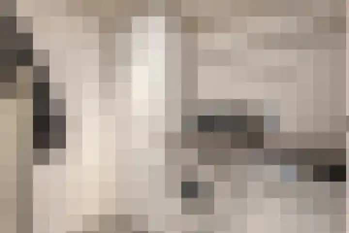 de Kievit 86 Denekamp thumbnail 12