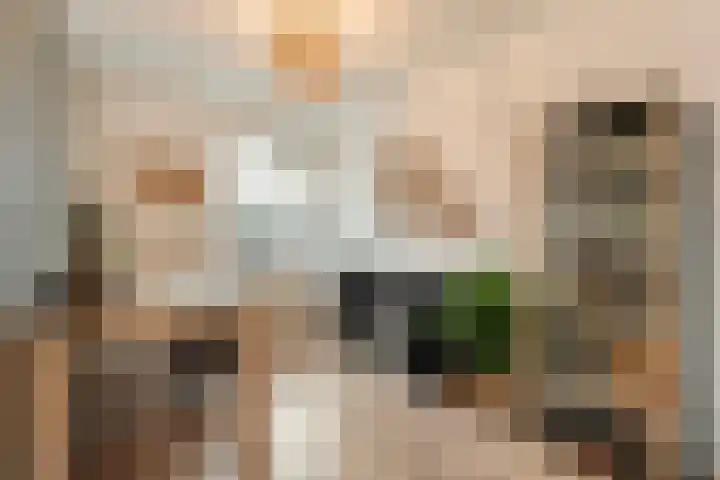 de Kievit 86 Denekamp thumbnail 14