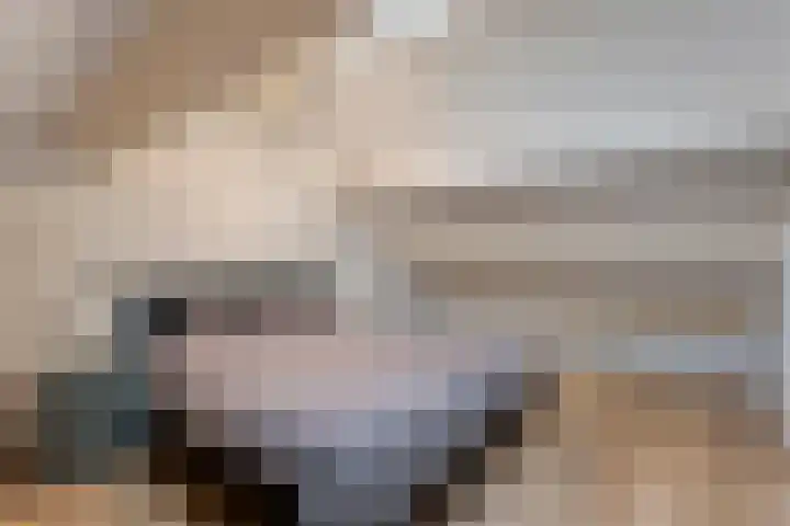 de Kievit 86 Denekamp thumbnail 18