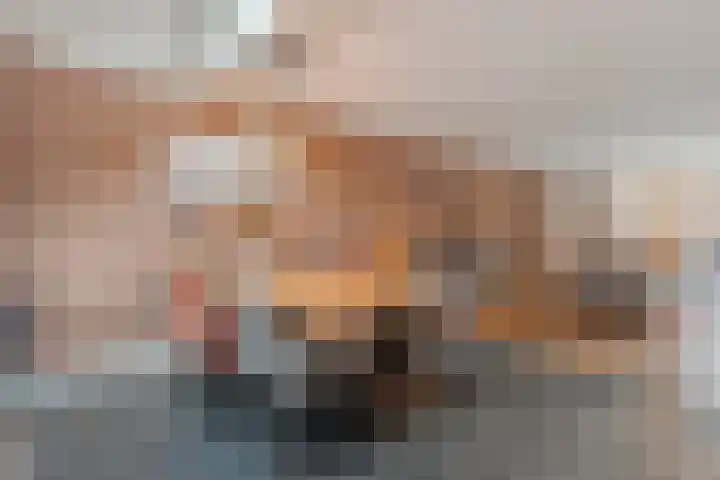de Kievit 86 Denekamp thumbnail 8