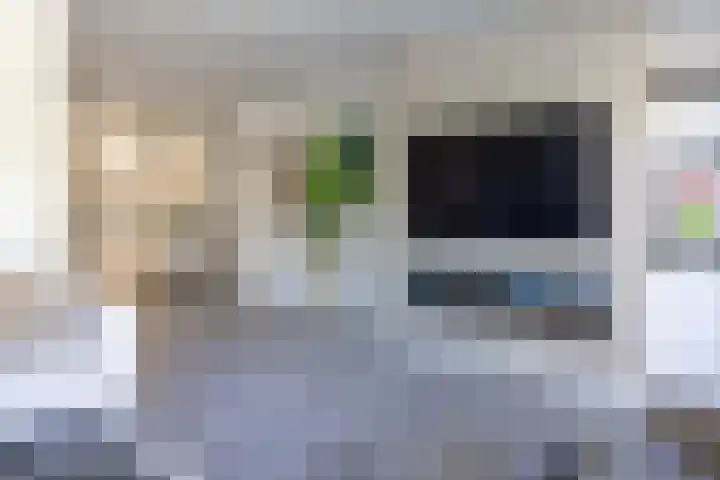 De Kievit 9 Vroomshoop thumbnail 11