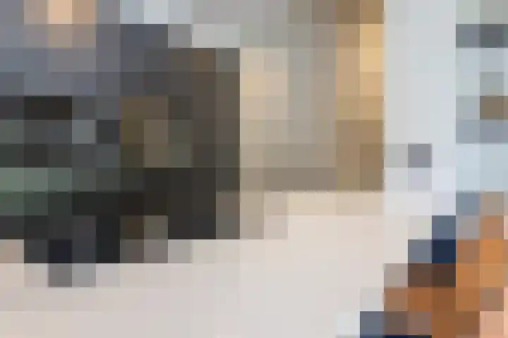 De Kievit 9 Vroomshoop thumbnail 18