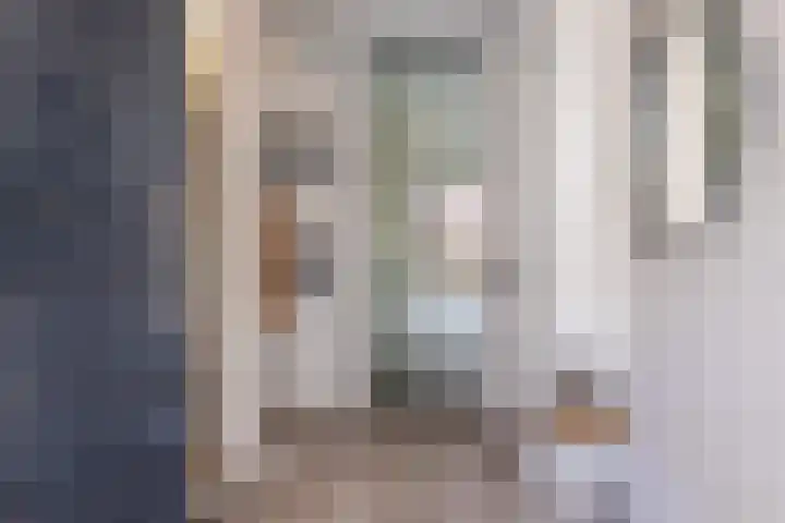 De Kievit 9 Vroomshoop thumbnail 4