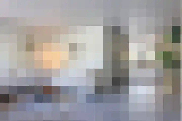 De Kievit 9 Vroomshoop thumbnail 8