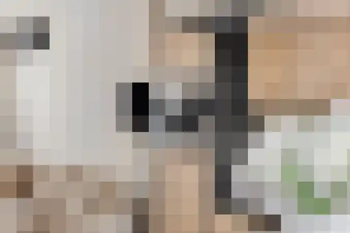 De Killick 68 Dronten thumbnail 14