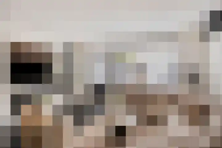 De Killick 68 Dronten foto 2