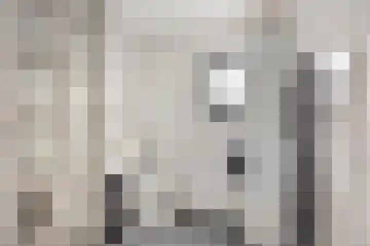 De Killick 68 Dronten thumbnail 20