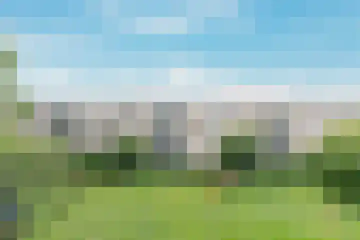 De Killick 68 Dronten thumbnail 30