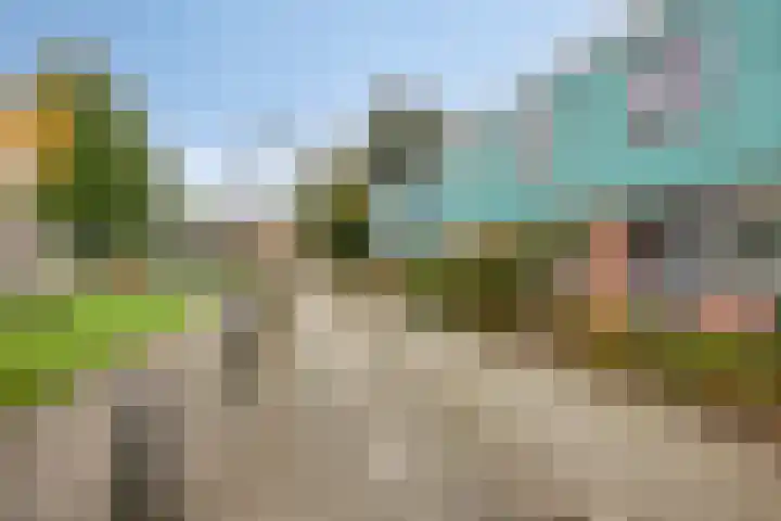 De Killick 68 Dronten thumbnail 31