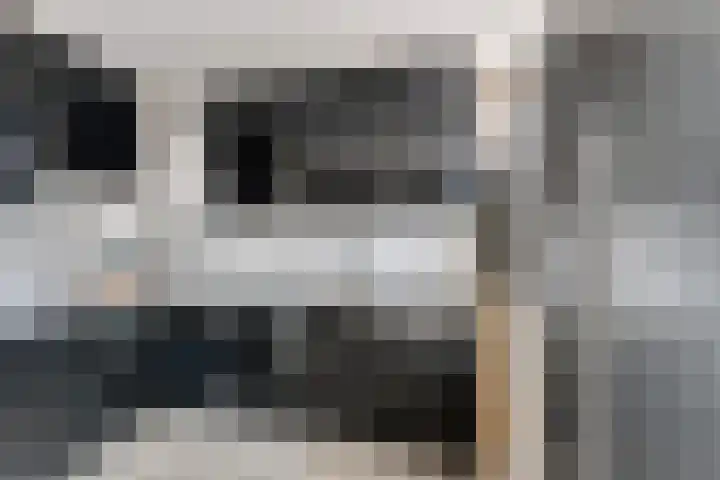 De Killick 68 Dronten thumbnail 34