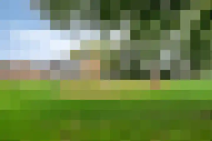 De Killick 68 Dronten thumbnail 35