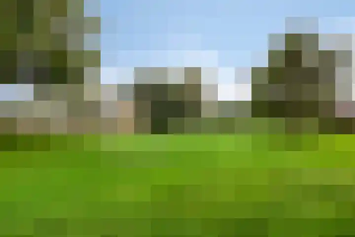 De Killick 68 Dronten thumbnail 36