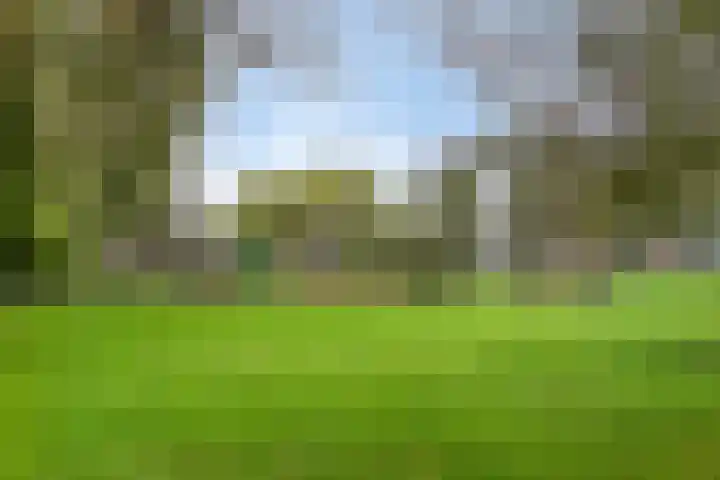 De Killick 68 Dronten thumbnail 37