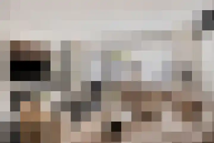 De Killick 68 Dronten thumbnail 7