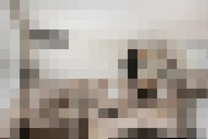 De Killick 68 Dronten thumbnail 8