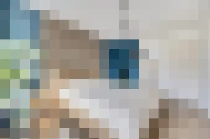 De Killick 69 Dronten thumbnail 18