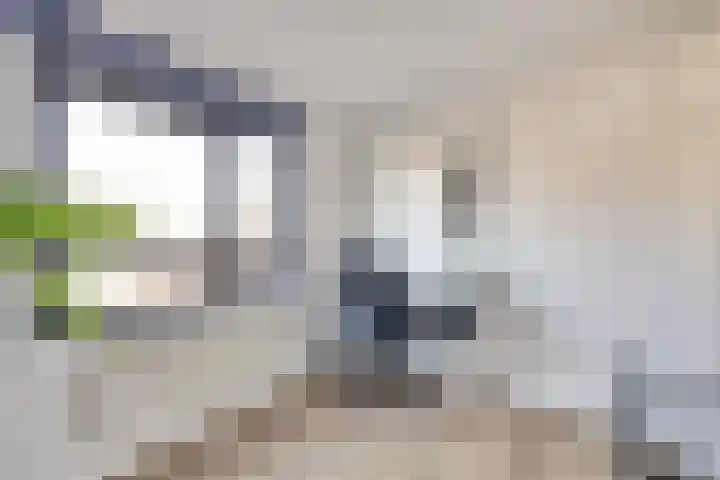 De Killick 69 Dronten thumbnail 20