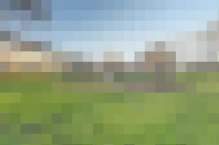 De Killick 69 Dronten thumbnail 28