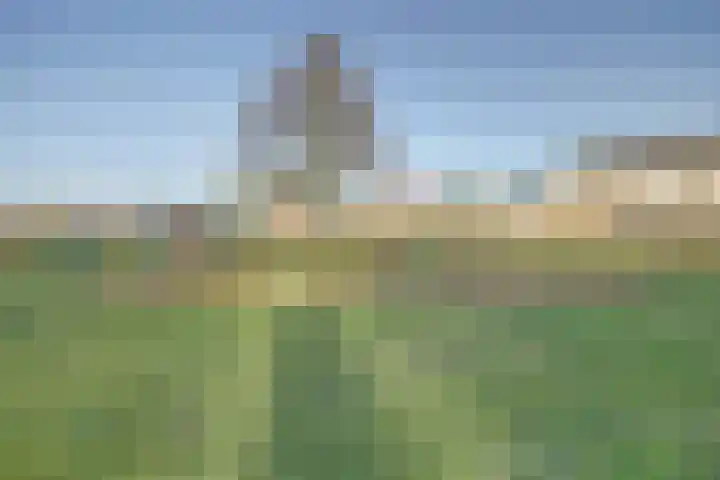 De Killick 69 Dronten thumbnail 29