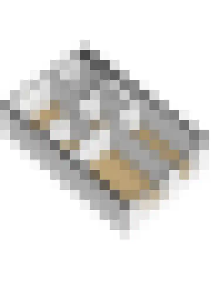 De Killick 69 Dronten thumbnail 39