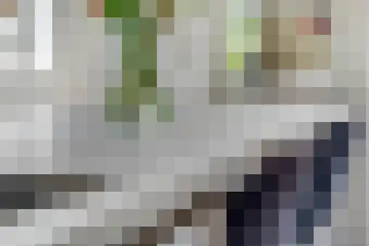 De Kist 61 Elst thumbnail 15