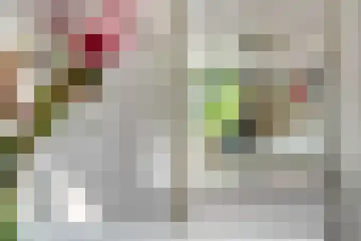 De Kist 61 Elst thumbnail 16