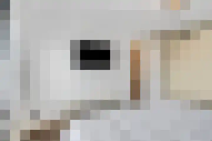 De Kist 61 Elst thumbnail 20
