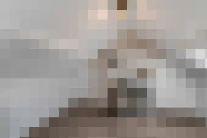 De Kist 61 Elst thumbnail 31