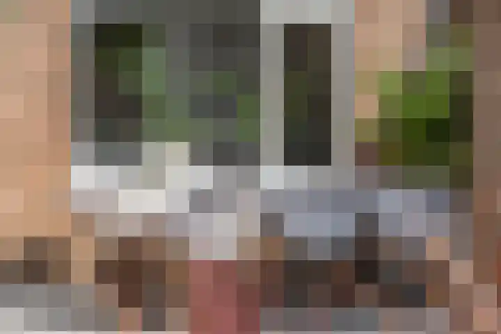 De Kist 61 Elst thumbnail 34