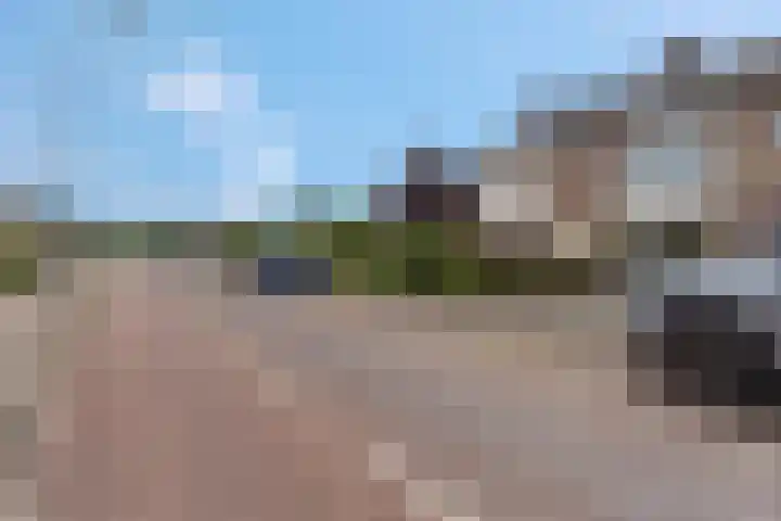 De Kist 61 Elst thumbnail 41