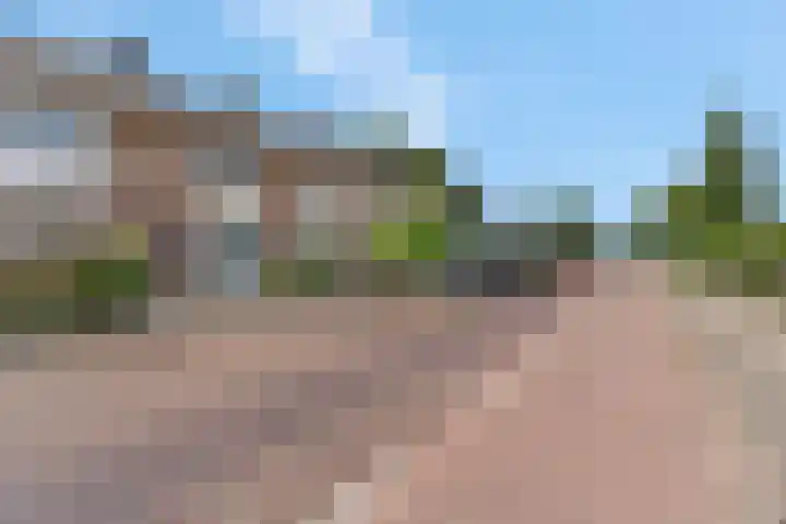 De Kist 61 Elst thumbnail 42
