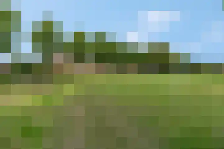 De Kist 61 Elst thumbnail 43