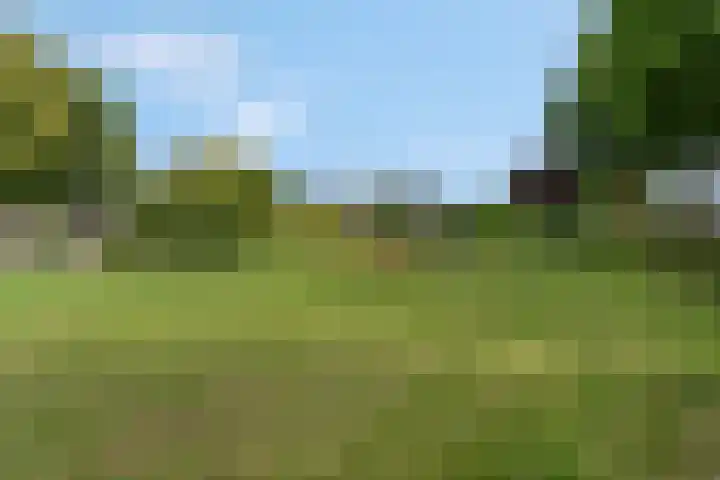 De Kist 61 Elst thumbnail 44