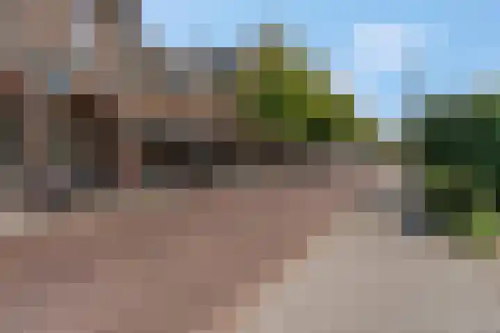 De Kist 61 Elst thumbnail 46