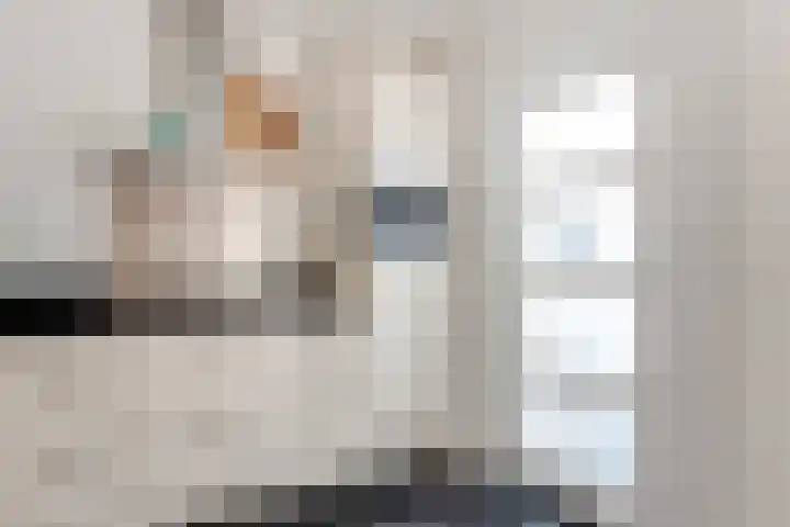De Kistemaker 12 Heiloo thumbnail 16