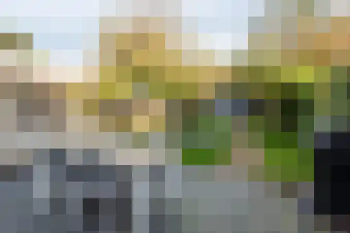 De Kistemaker 12 Heiloo thumbnail 31