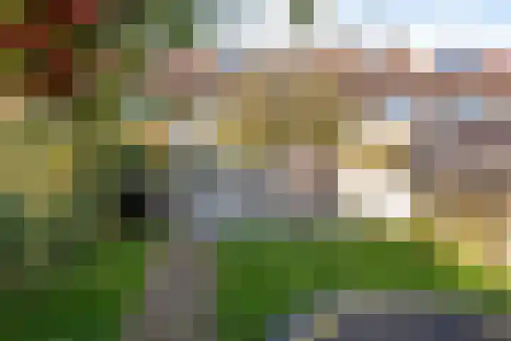 De Kistemaker 12 Heiloo thumbnail 37