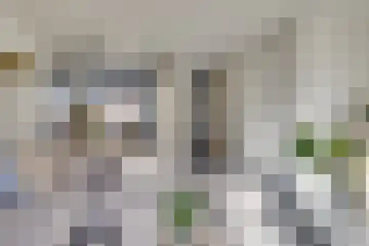 De Klamp 24 Leusden thumbnail 12