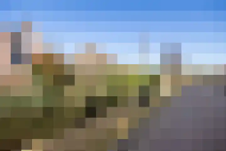 De Klamp 24 Leusden thumbnail 28