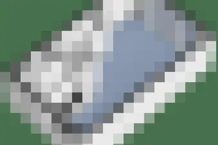 De Klamp 24 Leusden thumbnail 34