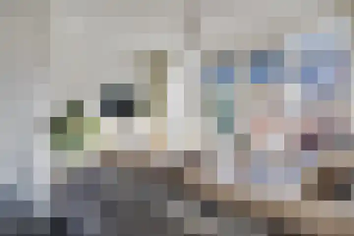De Klamp 24 Leusden thumbnail 8